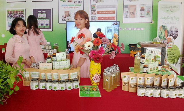 Thái Nguyên: Đẩy mạnh các hoạt động đổi mới sáng tạo trên mọi lĩnh vực