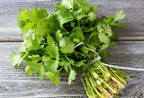 Những người đại kỵ với rau mùi, tuyệt đối đừng ăn kẻo mang họa