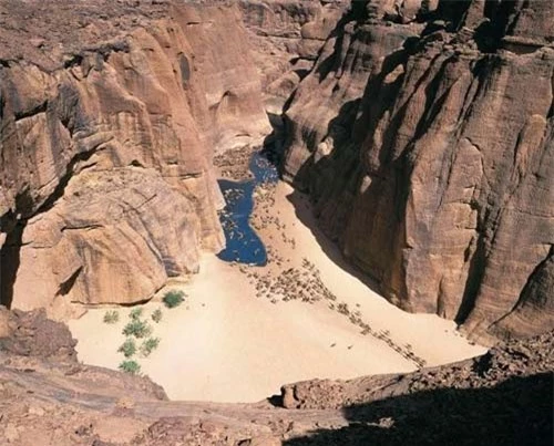 "Khách sạn” của lạc đà giữa sa mạc Sahara - 11