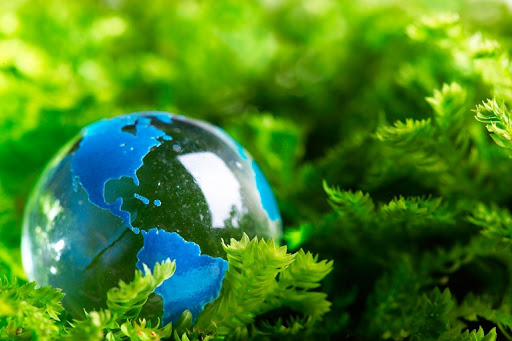 Luật bảo vệ môi trường năm 2020: Sẽ giảm thiểu thủ tục hành chính, đơn giản hóa các thủ tục