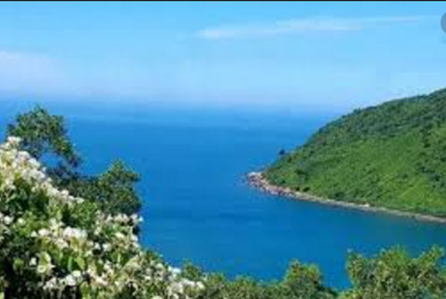 Chưa hết tuần trăng mật, tôi đã muốn ly hôn vì lý do này