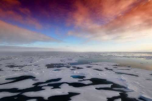 Vi khuẩn ‘lạ’ giải mã bí mật cuộc sống ngoài hành tinh