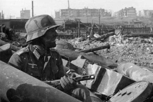 Bí ẩn “đội quân” chuột và nỗi ám ảnh kinh hoàng của Đức Quốc xã trong Trận Stalingrad