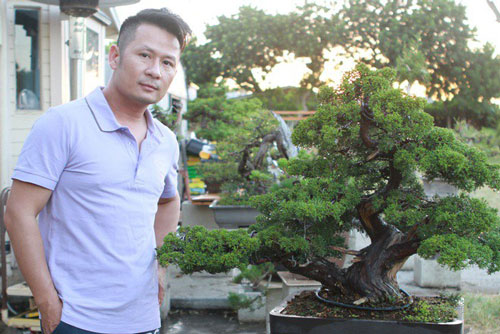 Nhà ở Mỹ của Bằng Kiều bị trộm đột nhập, mất cây bonsai đắt đỏ