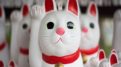 Ký sinh trùng này có thể khiến thần kinh con người bị rối loạn hoàn toàn