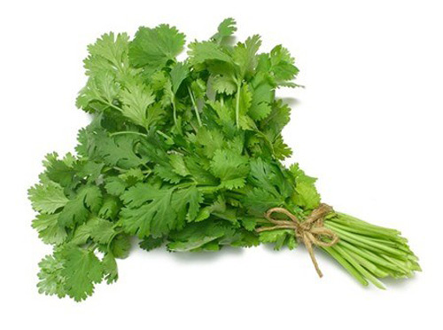 Tác dụng của rau mùi trong trị bệnh nhiều người không biết