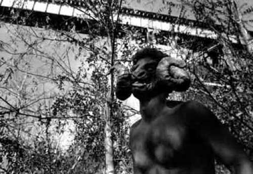 Top 10 sinh vật đáng sợ và bí ẩn nhất thế giới