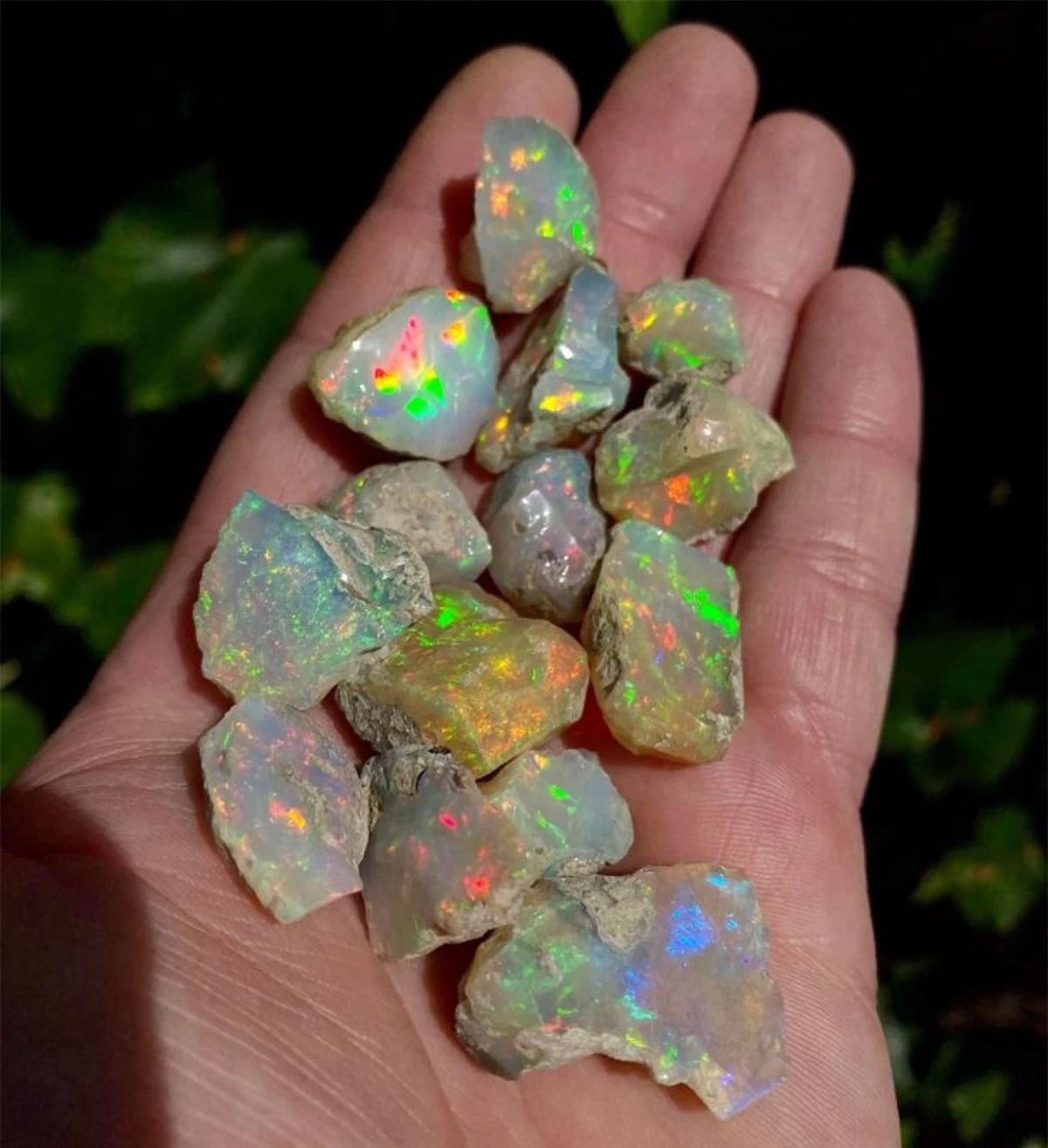 Những viên đá opal tuyệt đẹp./.