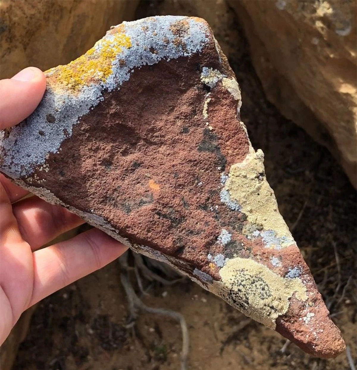 Miếng đá này trông như thể một miếng pizza.