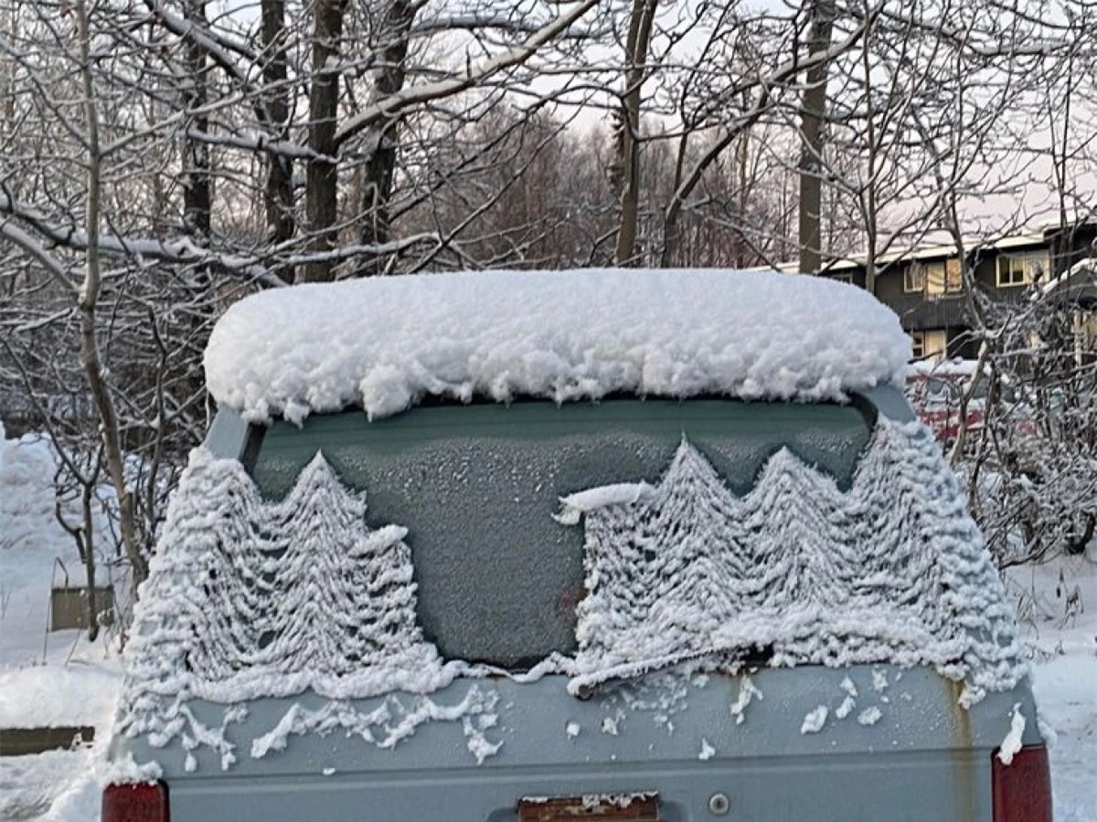 Tuyết trên ô tô tan chảy dưới ánh năng mặt trời trông như thể những cây thông bị tuyết phủ trong mùa đông.