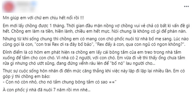 Kết hôn được 1 tháng, chồng đã mang con riêng về nhà rồi cưng nựng, vợ ức uất đe dọa ly hôn, danh tính của đứa con khiến ai cũng phì cười - Ảnh 1.