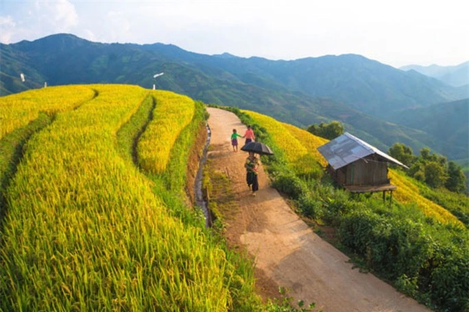 Mùa vàng Bắc Yên - Ảnh 3.