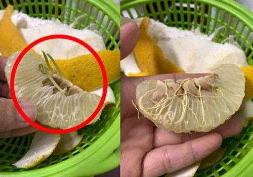 B&#x1ED5; qu&#x1EA3; b&#x1B0;&#x1EDF;i b&#x1ECF; qu&#xEA;n d&#x1B0;&#x1EDB;i g&#x1EA7;m gi&#x1B0;&#x1EDD;ng, ng&#x1B0;&#x1EDD;i &#x111;&#xE0;n &#xF4;ng ng&#x1EE1; ng&#xE0;ng ph&#xE1;t hi&#x1EC7;n &#x111;i&#x1EC1;u k&#x1EF3; l&#x1EA1; b&#xEA;n trong