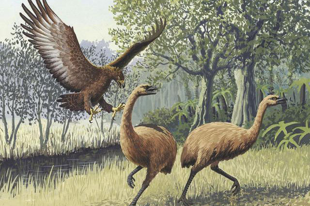 Những loài động vật tuyệt chủng vì sự thiếu hiểu biết của loài người