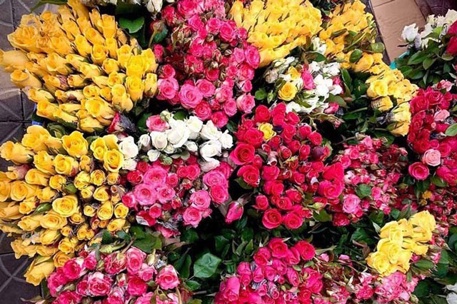 Hoa hồng dịp 8/3 tăng giá gấp 5, dân buôn tranh mua nhà vườn 'cháy hàng'