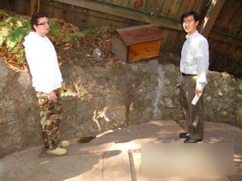 Sửng sốt với khu rừng ma thuật ở Mỹ