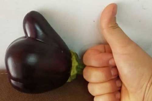 Bất ngờ với những 'tác phẩm' sáng tạo độc nhất vô nhị của 'mẹ thiên nhiên'