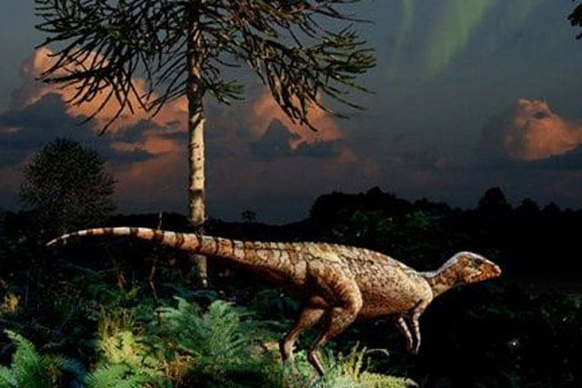 Nam Cực đã từng được bao phủ bởi rừng mưa ôn đới 90 triệu năm trước