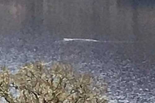 Xuất hiện video quay sinh vật nghi quái vật hồ Loch Ness