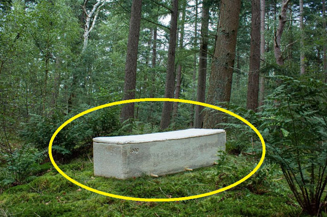 Bí mật chiếc quan tài kỳ lạ, có thể phân hủy xác người nhanh gấp 5 lần bình thường, "hút" được cả chất độc