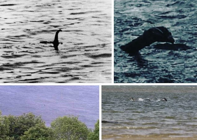 Những hình ảnh được cho là chụp quái vật hồ Loch Ness.