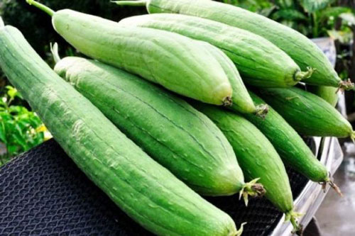 Da láng mịn, hết nếp nhăn chỉ bằng cách sử dụng quả mướp