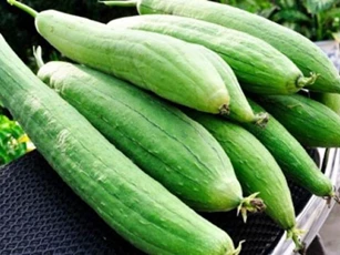 Da láng mịn, hết nếp nhăn chỉ bằng cách sử dụng quả mướp