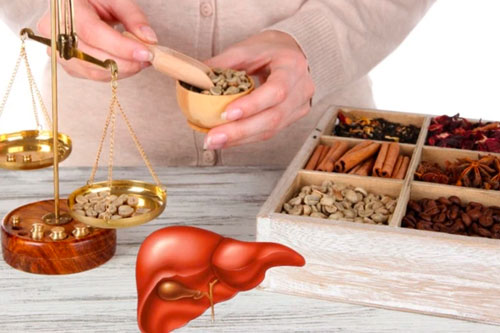 Những bài thuốc nam trị gan nhiễm mỡ hiệu quả