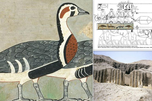 "Mona Lisa trong mộ cổ Ai Cập": Sinh vật đã biến mất khỏi Trái Đất