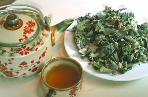 Những bài thuốc dân gian hỗ trợ điều trị gan nhiễm mỡ hiệu quả