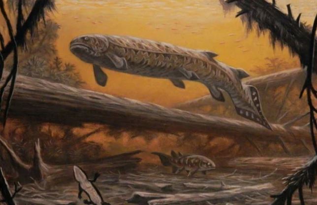 Khám phá loài cá quái vật thời tiền sử, sinh vật bá chủ vùng nước ngọt