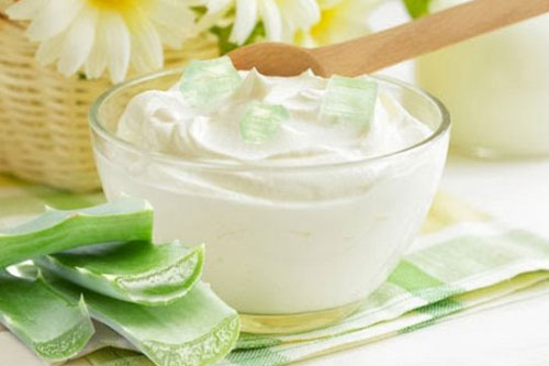 Cách làm sữa chua nha đam mát lạnh tại nhà