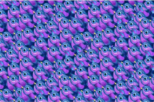 Thách thức thị giác 5 giây: Bạn có tìm thấy chú bướm nhỏ 'bay lạc' giữa đàn chim không?