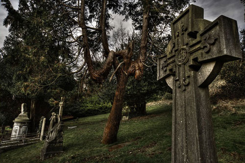 Bí ẩn người chết bỗng bật dậy sống lại tại tang lễ, mỉm cười với em gái rồi sống được thêm 40 năm nữa