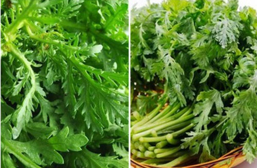 Bất ngờ với công dụng tuyệt vời của rau cải cúc