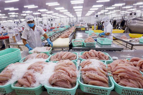 Gia hạn tiền thuế, tiền thuê đất và lãi vay để hỗ trợ cho doanh nghiệp