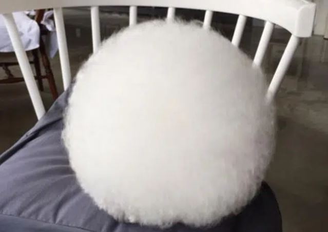 Ai nhìn cũng nghĩ đây chỉ là cục bông trắng tròn để rồi ngỡ ngàng khi biết sự thật, đoán được thì chứng tỏ bạn cũng tinh mắt đấy