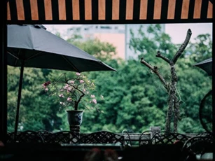 Chồng ngỡ ngàng với quá khứ của người vợ ngoan hiền