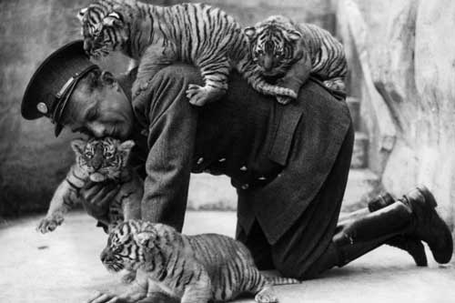 Những hình ảnh hấp dẫn trong lịch sử ít người biết đến