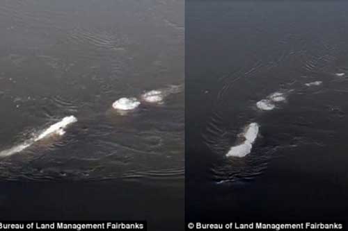 Sửng sốt quái vật Loch Ness xuất hiện ở Mỹ?