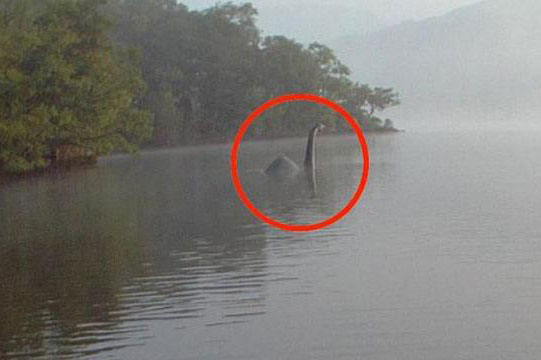 Khám phá quái vật bí ẩn ở Hồ Windermere