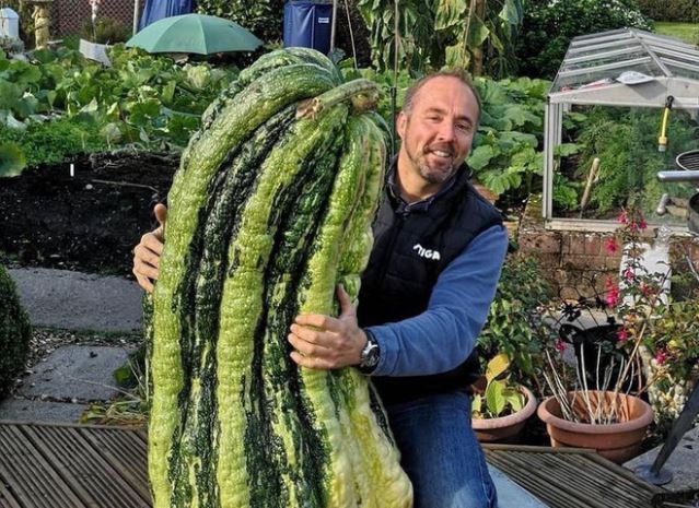 Những lần dân mạng vỡ oà khi phát hiện các loại đồ ăn hình thù độc lạ, bàn tay “mẹ thiên nhiên” quả là thần thánh