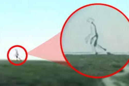 Tranh cãi về chuyện người 8 chân từng đến Trái đất