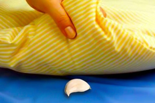 Đặt tỏi dưới gối bạn chắc chắn sẽ nhận được điều kỳ lại ngay sau 1 đêm