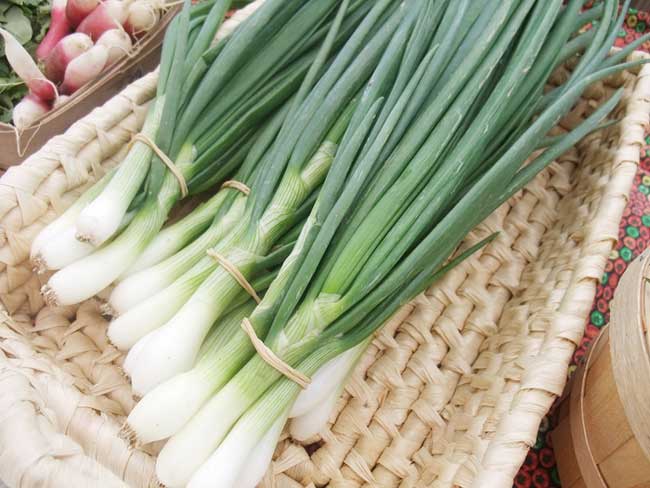 Bài thuốc quý: Những loại rau quen thuộc chữa khỏi những bệnh nguy hiểm không ngờ