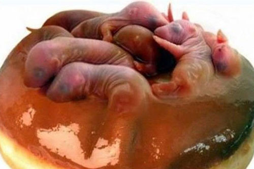 Những món ăn kinh dị nhất lịch sử do Từ Hy Thái Hậu nghĩ ra