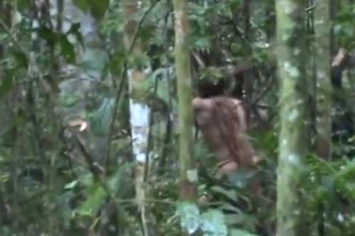 Hình ảnh hiếm hoi về người thổ dân đơn độc giữa rừng Amazon