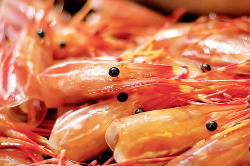 Những bộ phận của tôm tuyệt đối không nên ăn kẻo gây hại sức khỏe