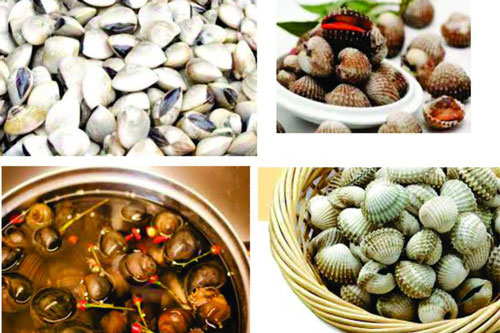 Bí quyết làm sạch cát bẩn trong ngao, sò, ốc cực đơn giản