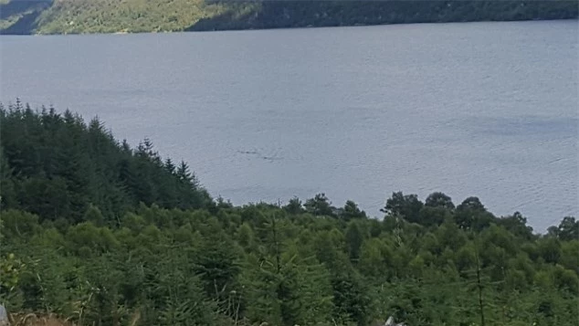 Xuất hiện 2 quái vật hồ Loch Ness bơi song song?
